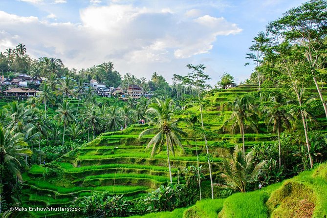 Best Of Ubud Tour1