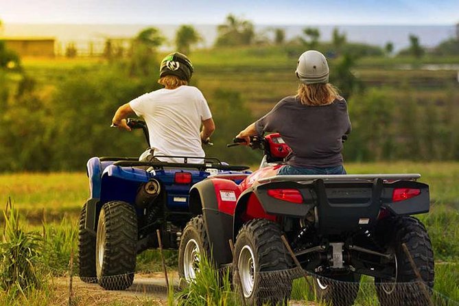 Quad Bike And Ubud Tour1